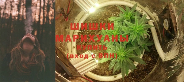 амф Пересвет