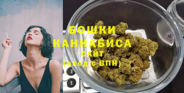 амф Пересвет