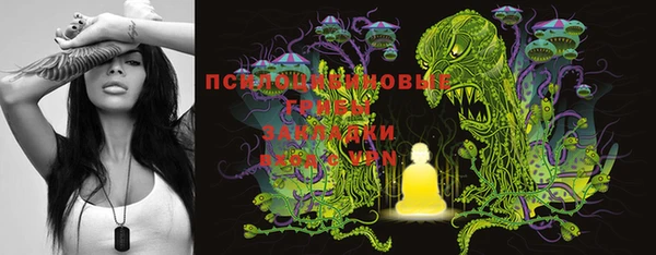 амф Пересвет