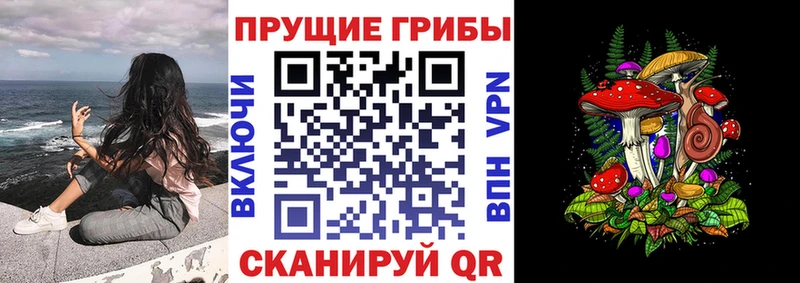 Купить закладки  Славянск-на-Кубани  Псилоцибиновые грибы Cubensis 